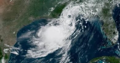 Tropical Storm Bertha Tracker Current Location Wind Speed and Forecast