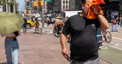 Washington DC Extreme Heat Wave Breaks Historic Records Over Fourth of July Weekend